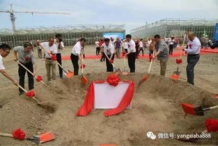 投資8000萬將大海搬進工廠 新疆首個循環水工廠養殖示范基地助力水產品養殖新突破