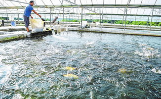 玉溪市人民政府推動水產品養殖產業高質量發展