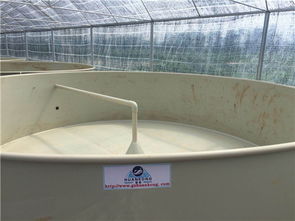 工廠化水產養殖設計 高效節水節地，引領生態環保新潮流