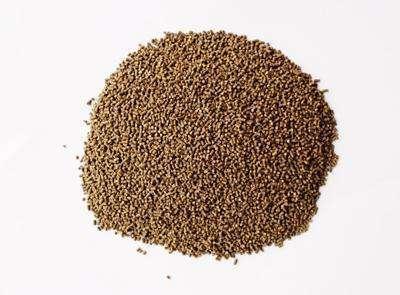 實施五大行動，引領水產綠色健康養殖，加速產業轉型升級