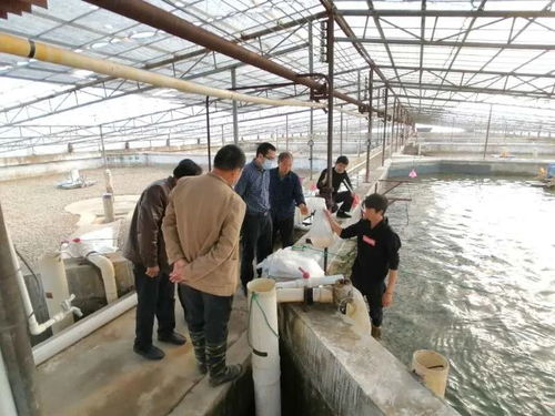 九江水產 產得出、運得走、不積壓、不賣難，力促產業平穩有序發展