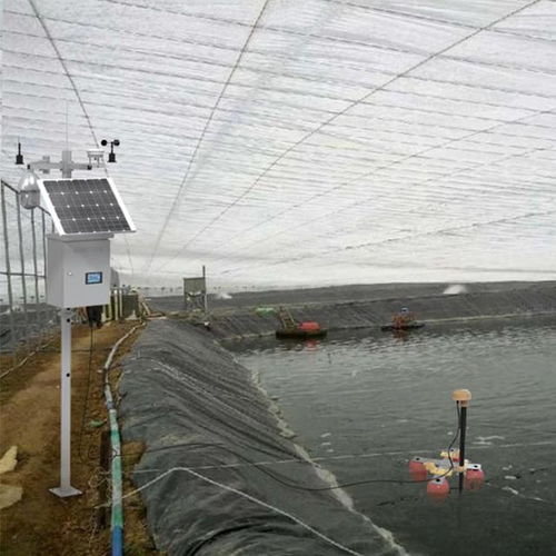 水產養殖監測系統 現代水產品養殖的智慧守護者